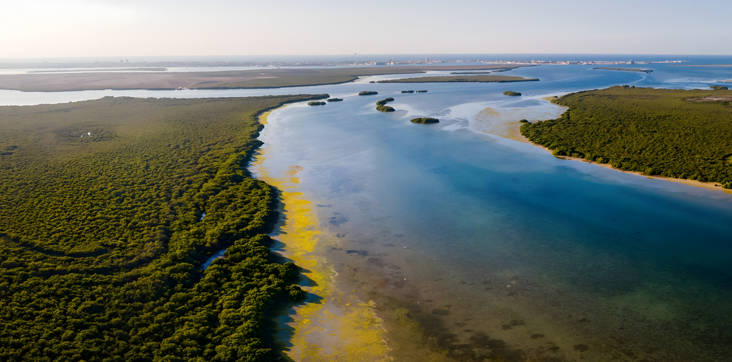 Benchmarking Hospitality: DCT’s First Step Toward Net-Zero Events 